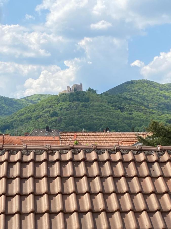 Vintner Suites Neustadt an der Weinstraße المظهر الخارجي الصورة